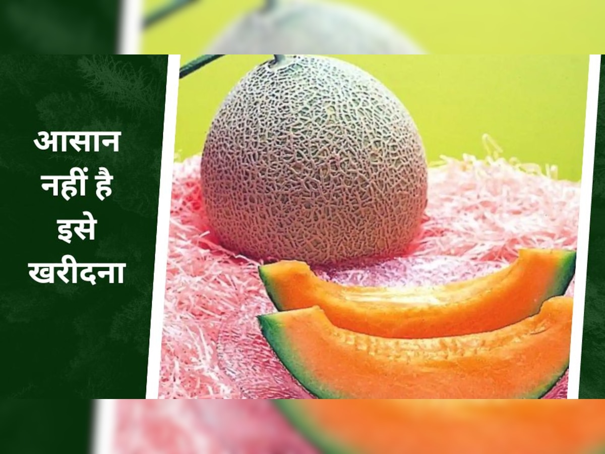 Yubari Melon: दुनिया का सबसे महंगा फल, अगर उगा ले गए तो करोड़पति बना देगा..कीमत भी जान लीजिए