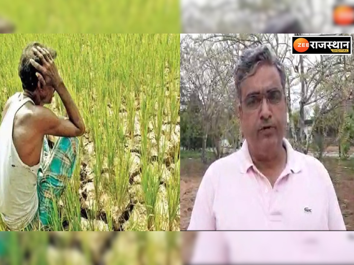 राजस्थान में फसल खराबे पर किसानों को मुआवजा मिलेगा या नहीं, सरकार ने दिया ये जवाब