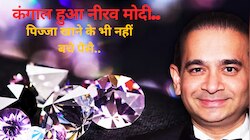 14000 करोड़ का घोटाला करने वाले नीरव मोदी की ऐसी हुई हालत, पिज्जा भी नहीं खरीद सकता