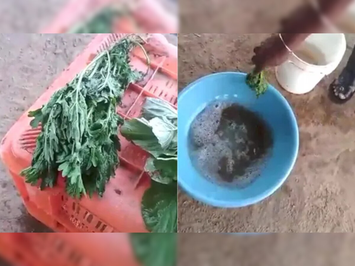 सब्जी को कैमिकल में डुबोते ही हो गई ताजी, देखें हैरान करने वाला Video