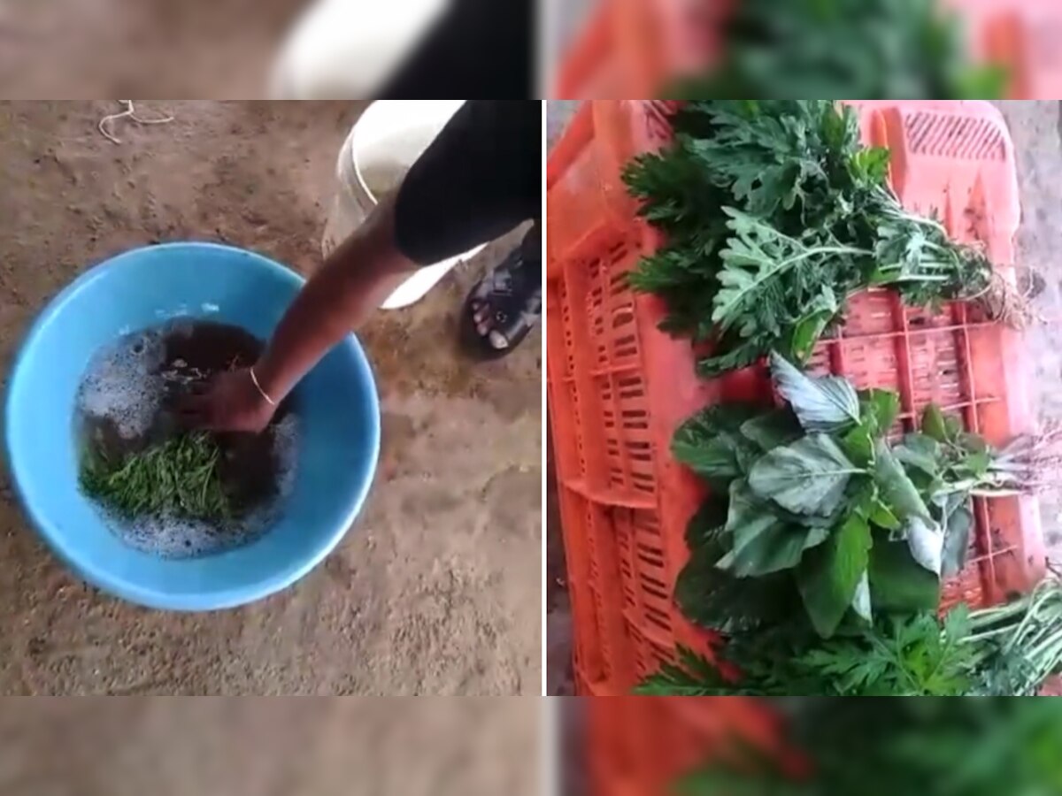 Viral Video: बासी सब्जियों में केमिकल मिलाकर 10 सेकेंड में कर देते हैं फ्रेश, ग्राहकों को दुकानदार ऐसे देते हैं धोखा