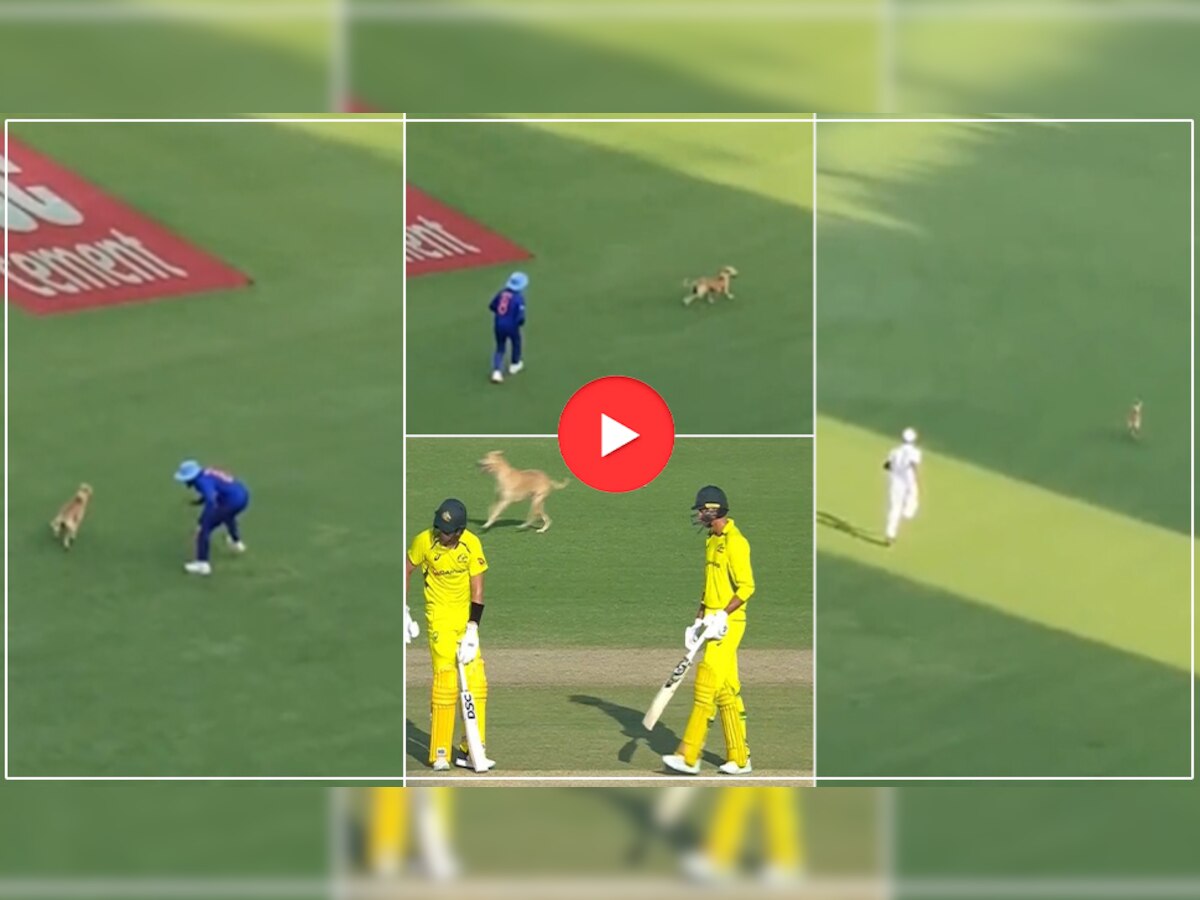 IND vs AUS Viral Video: मैच के बीच मैदान में घुसा कुत्ता, जडेजा ने की पकड़ने की कोशिश