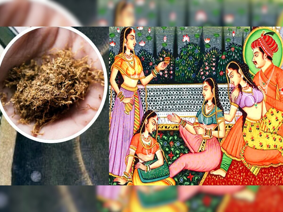 Mughal Era Dark Secret: कामोत्तेजना बढ़ाने के लिए ये खाते थे मुगल, शाही मेन्यू में होते थे ऐसे व्यंजन
