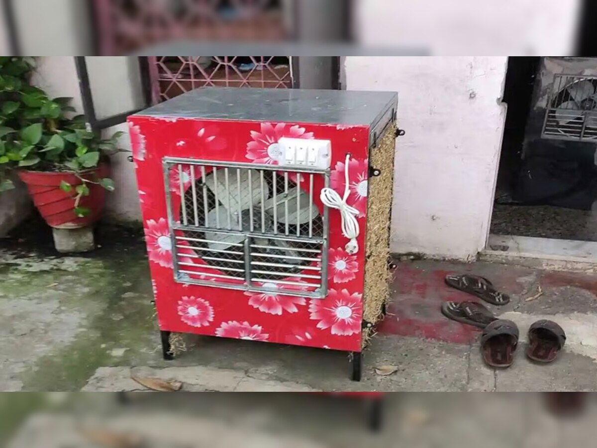 पुराना Cooler बन जाएगा AC! बस अंदर फिट कर दें 545 रुपये वाला डिवाइस, निकालनी पड़ेगी रजाई