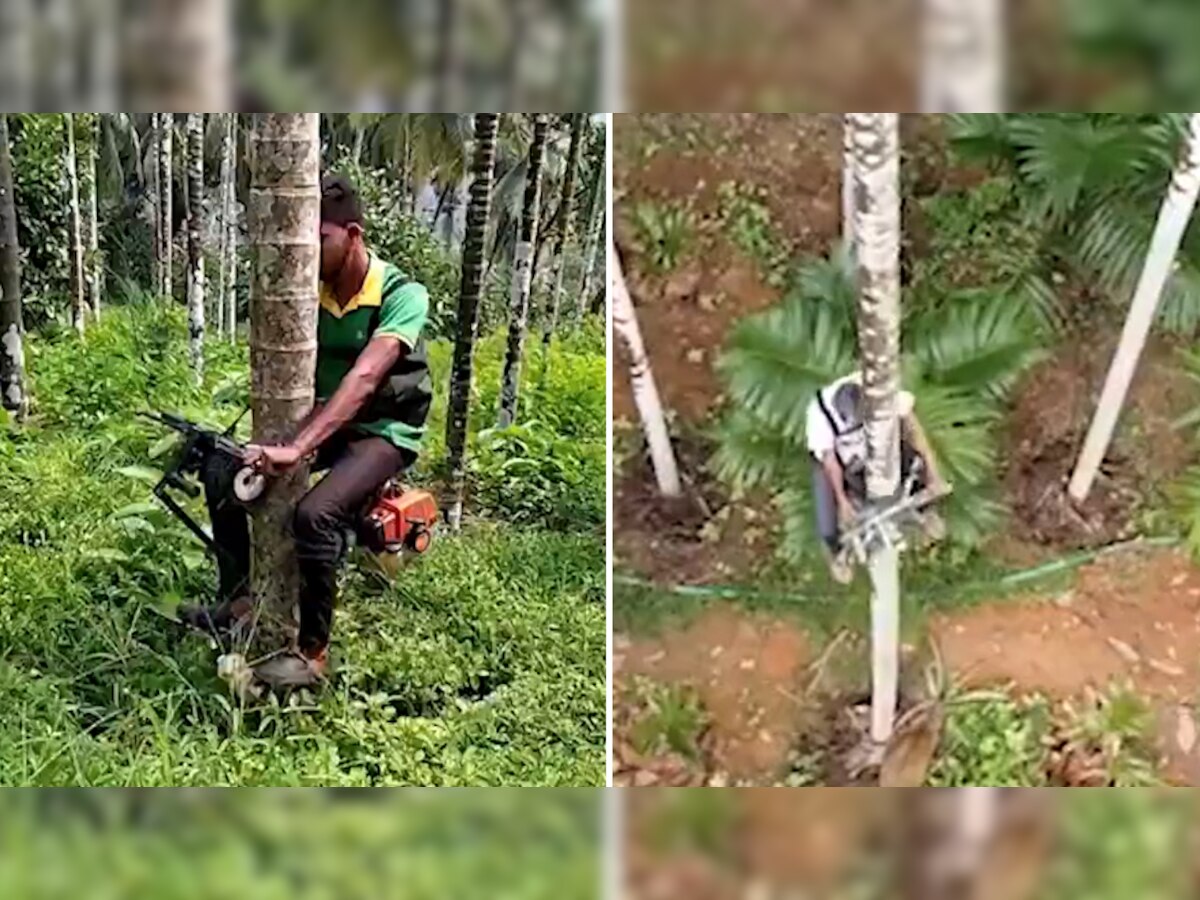 Desi Jugaad: ये है पेड़ पर चढ़ने वाला स्कूटर, 10 सेकेंड में झट से चढ़ जाते हैं लोग; बिजनेसमैन भी हैरान
