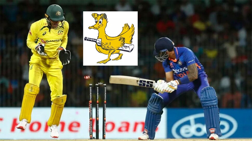 What is Duck Golden Duck and Diamond Duck? know the difference in these