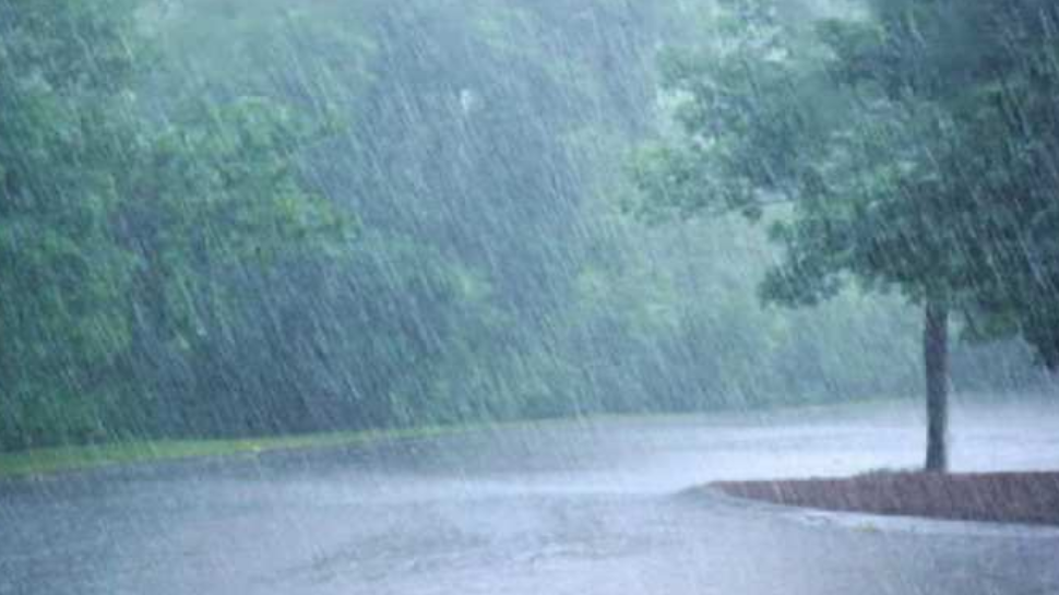 MP Weather Forecast: मध्यप्रदेश में मौसम विभाग का अलर्ट, भोपाल, नर्मदापुरम समेत इन जिलों में बारिश की संभावना MP Weather Forecast: मध्यप्रदेश में मौसम विभाग का अलर्ट, भोपाल, नर्मदापुरम समेत इन जिलों में बारिश की संभावना