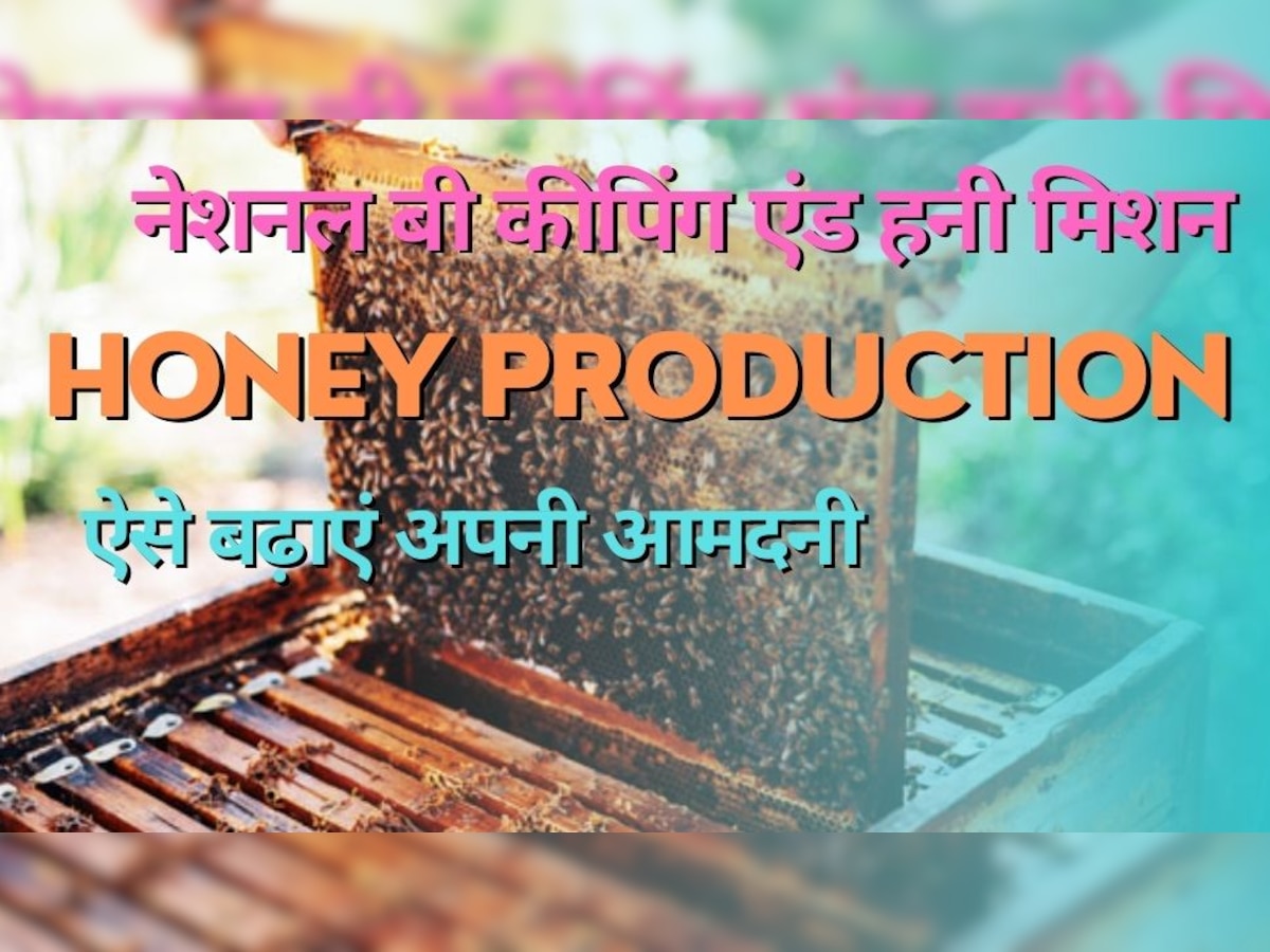 Honey Mission: मीठी क्रांति को बढ़ावा देने के लिए सरकार ने उठाया ये बड़ा कदम, अब किसानों को होगा मोटा मुनाफा
