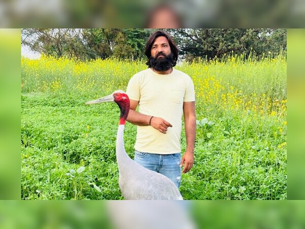 सारस से दोस्ती कर बुरे फंसे आरिफ; यूपी सरकार कर सकती है कार्रवाई
