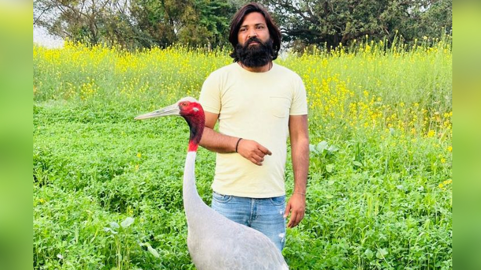सारस से दोस्ती कर बुरे फंसे आरिफ; यूपी सरकार कर सकती है कार्रवाई सारस से दोस्ती कर बुरे फंसे आरिफ; यूपी सरकार कर सकती है कार्रवाई
