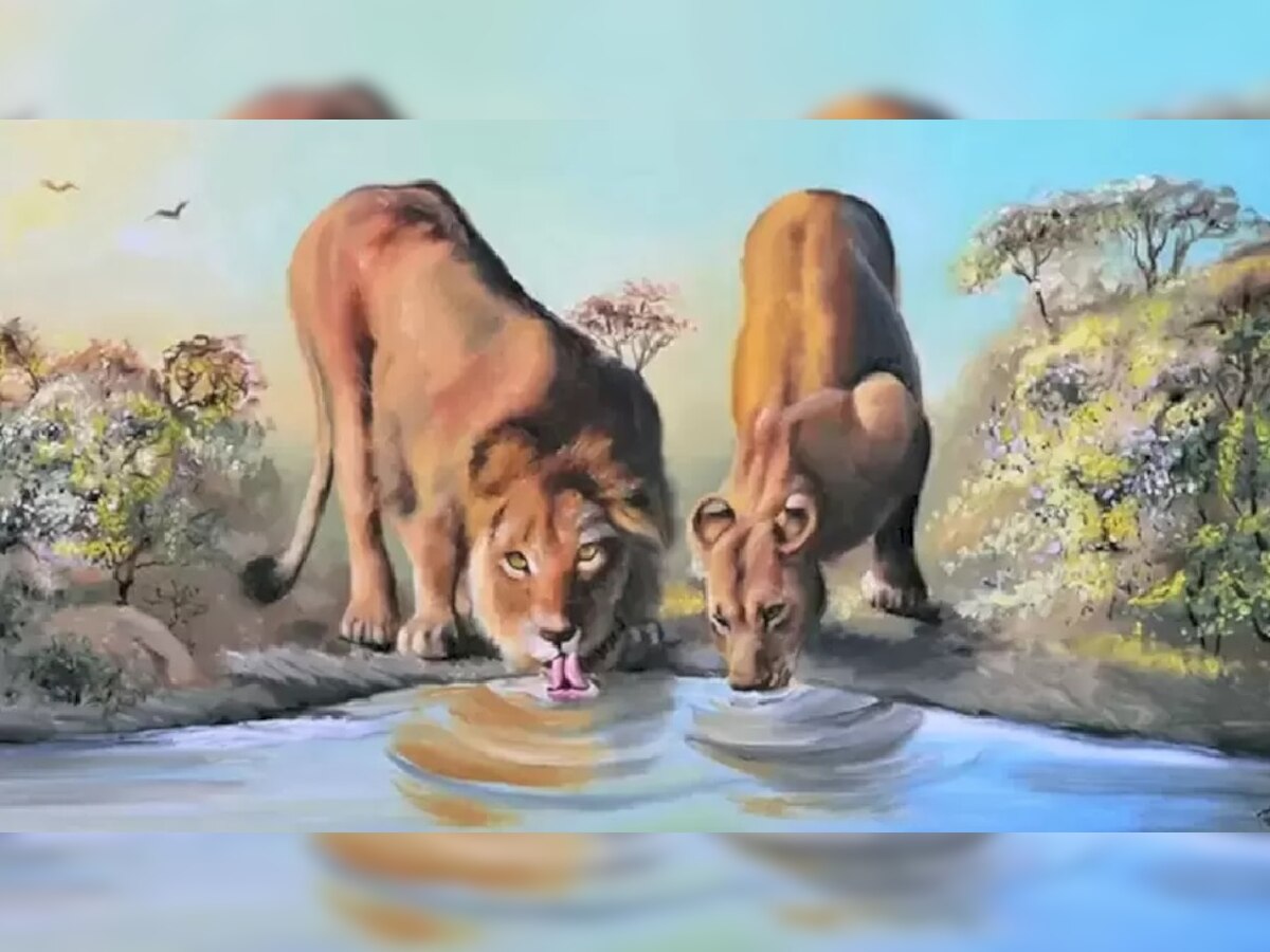 Optical Illusion: शेर-शेरनी ही नहीं तस्वीर में छिपे हैं कई और खतरनाक जानवर, केवल जीनियस ही बता पाएंगे जवाब