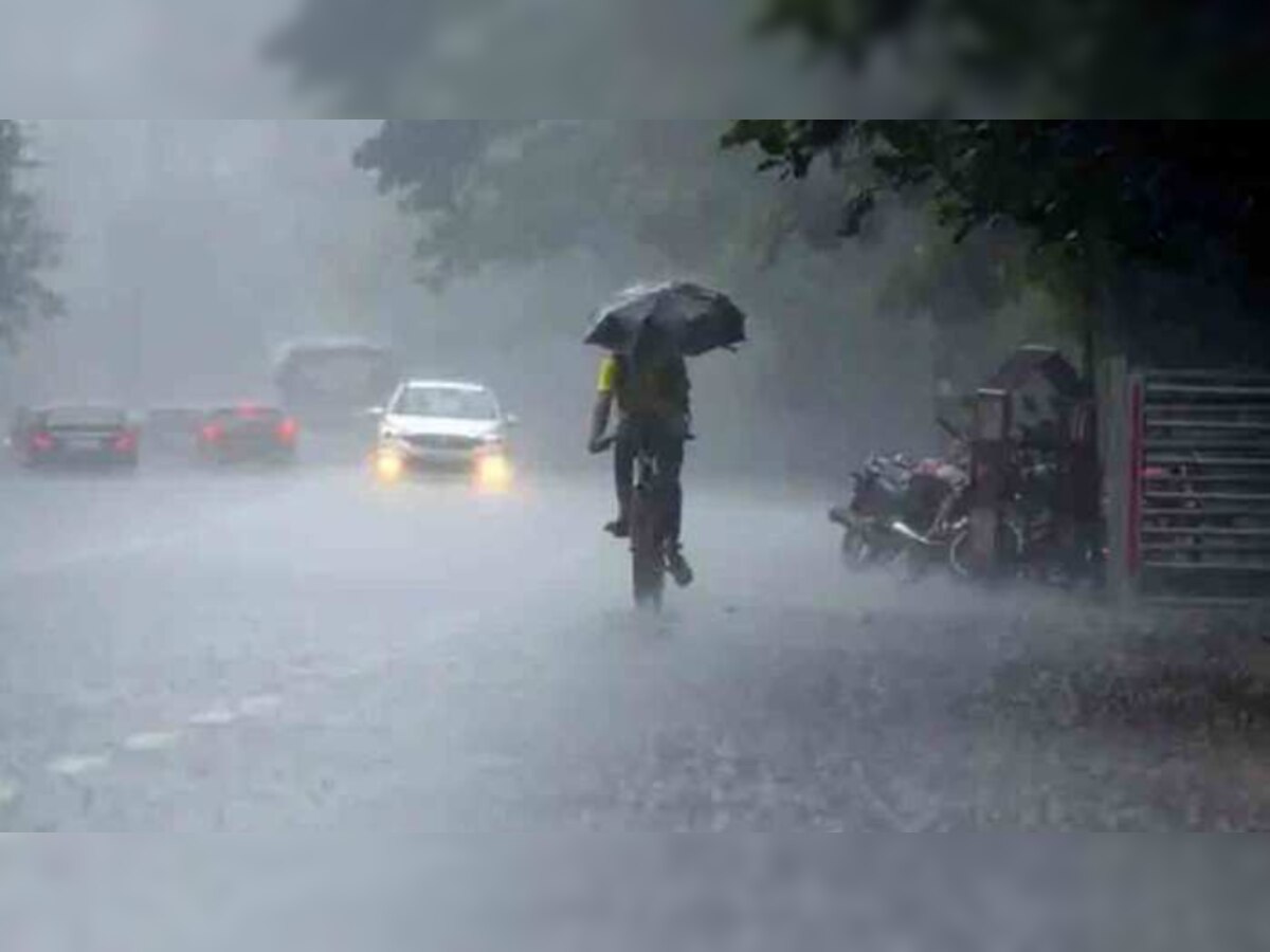 MP Weather Update: मध्यप्रदेश में मौसम विभाग का अलर्ट, रीवा, जबलपुर समेत इन जिलों में बारिश की संभावना