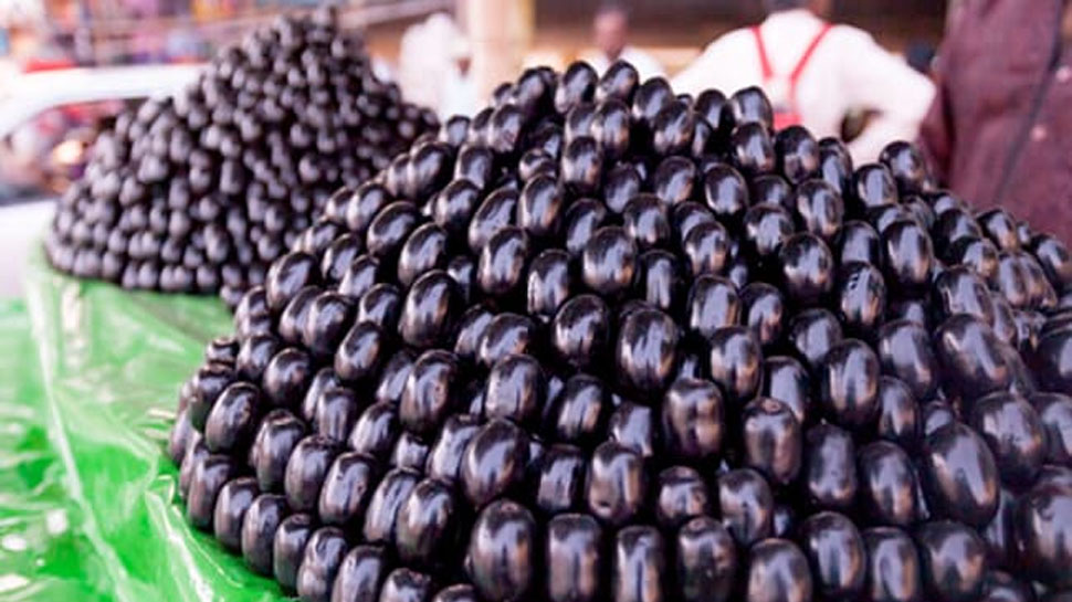 Jamun Seeds For Diabetics: एकदम लेवल में आ जाएगी डायबिटीज, बस करना होगा ये काम Jamun Seeds For Diabetics: एकदम लेवल में आ जाएगी डायबिटीज, बस करना होगा ये काम