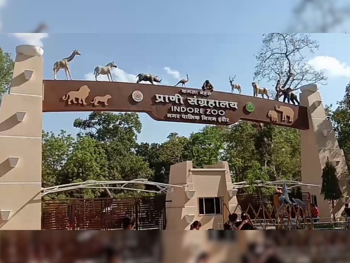 Top Zoo in Indore: इंदौर के चिड़ियाघर में है स्नेक पार्क और पक्षी विहार, जानें टिकट और खासियत
