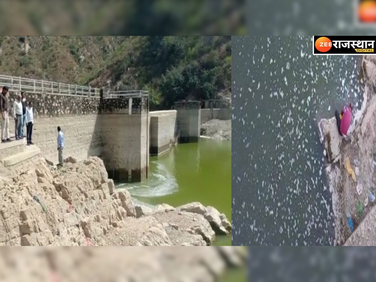 Rajsamand News:लाखेला तालाब का पानी हो रहा जहरीला, जानिए क्या है मामला 