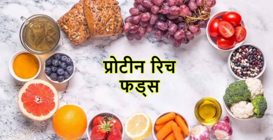 which foods are rich in high protein eat daily to maintain body