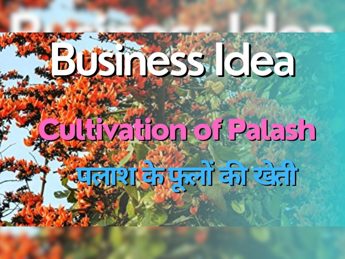 Business Idea: पैसों का भी होता है पेड़! यकीन न हो तो एक बार करें इन फूलों की खेती, निवेश पर मिलेगा तगड़ा रिटर्न