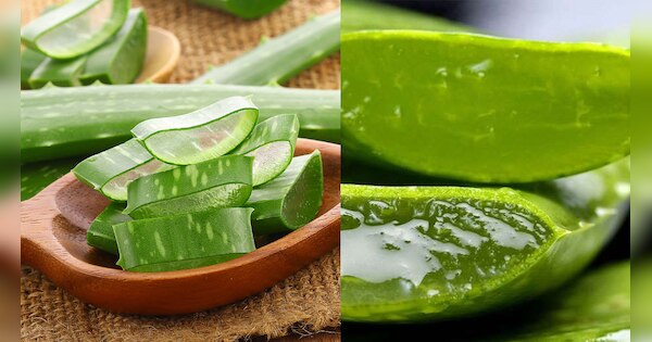 Aloevera Benefits use aloevera for glowing skin also it help in tanning ...