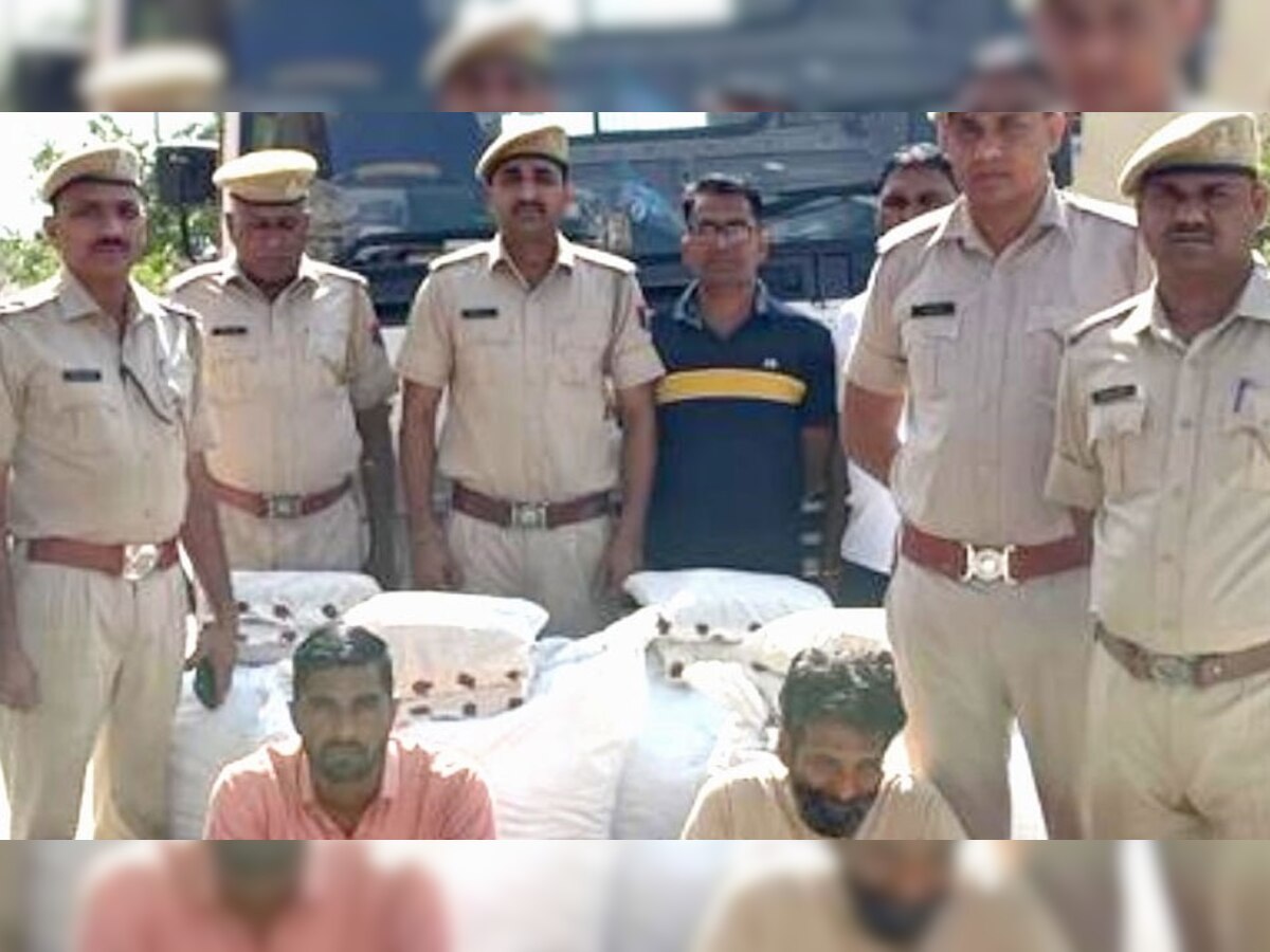 Jaipur: तरबूज की आड़ में तस्करी, उड़ीसा से 200 किलो गांजा लाकर भीलवाड़ा में सप्लाई करने वाले 2 बदमाश गिरफ्तार