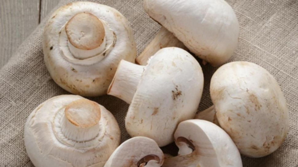 Mushroom Benefits eat mushroom for immunity and mind growth Mushroom