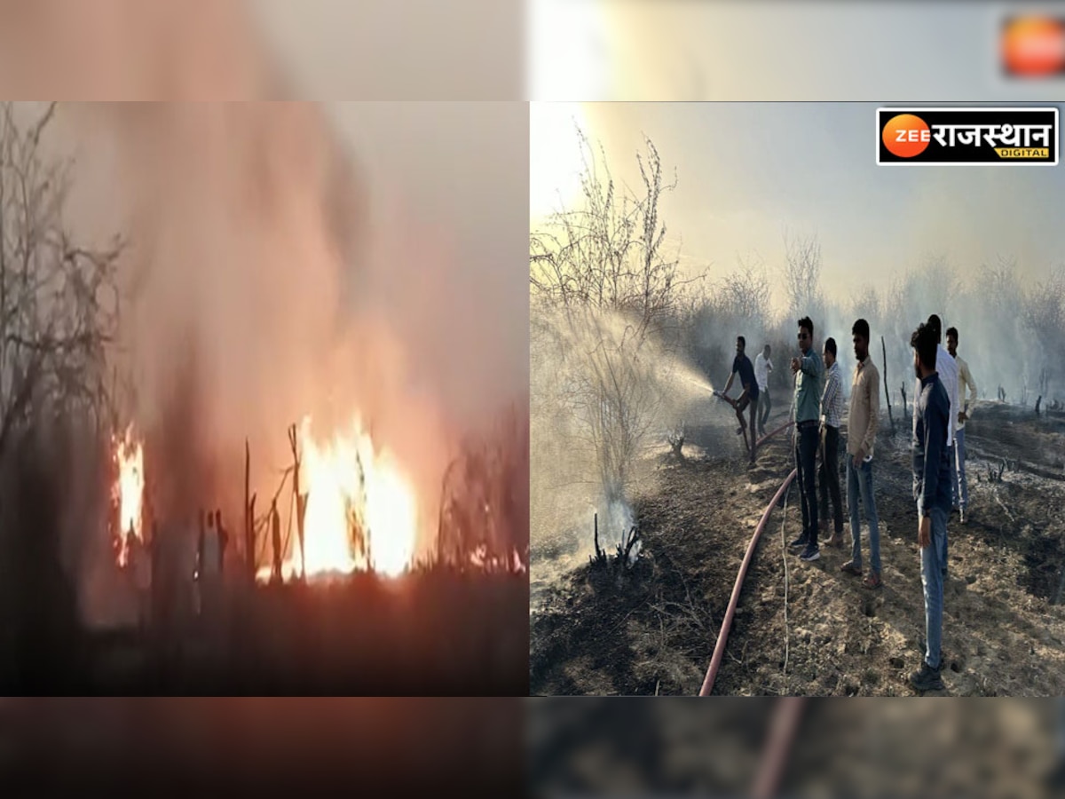 Nagaur fire: जंगल में लगी भीषण आग, घंटो तक चली काबू पाने की मशक्कत 