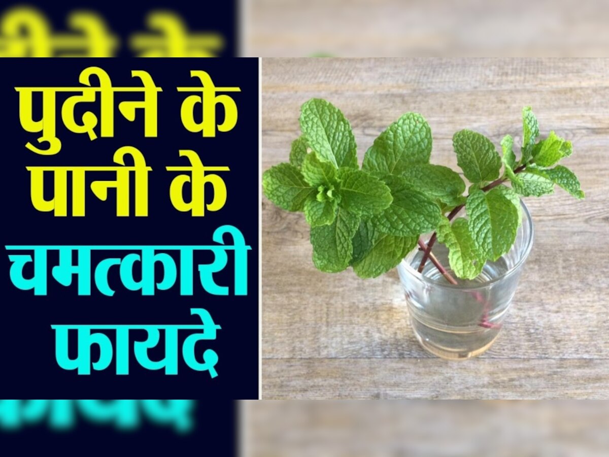 Summer Drink: गर्मियों में दस्त और एसिडिटी में राहत दिलाएगा चिल्ड पुदीना वॉटर, इम्यूनिटी को भी बढ़ाए