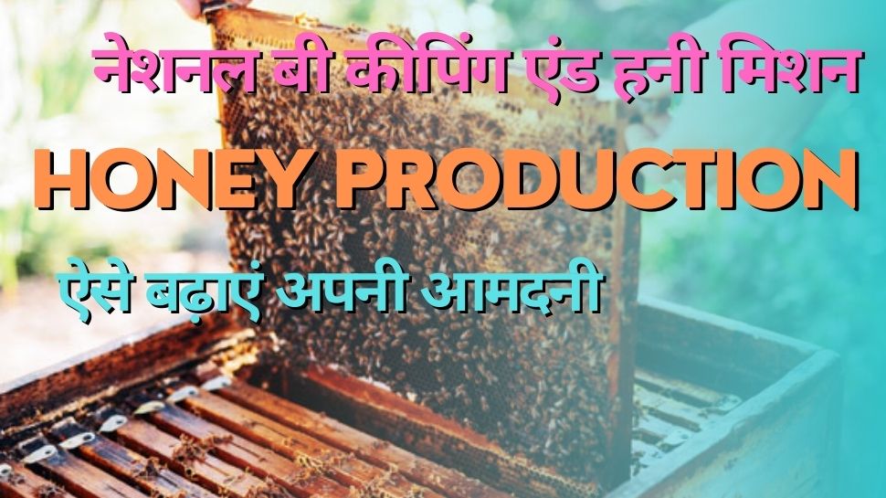 Sweet Revolution in bihar govt honey mission for shahad huge production