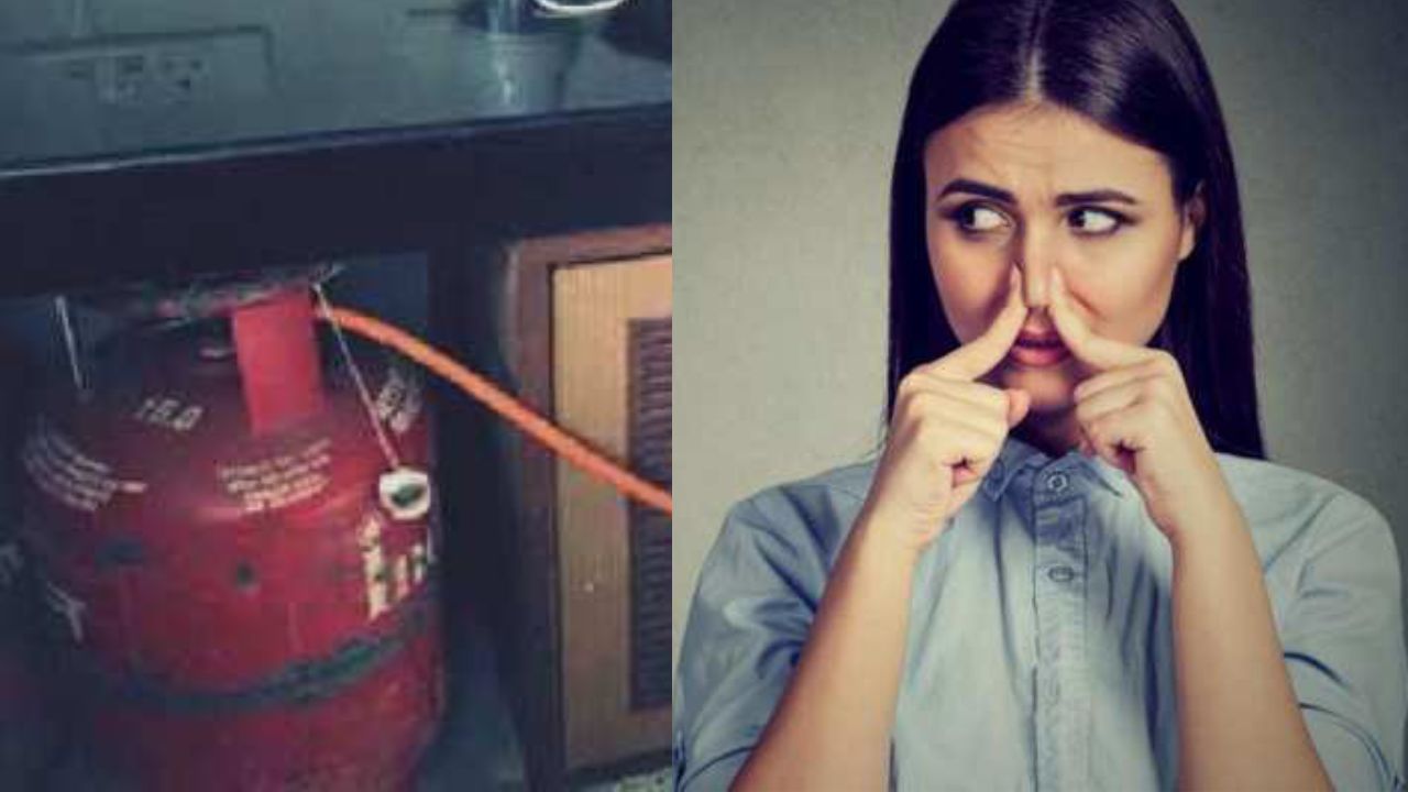 LPG Gas Smell: गैस सिलेंडर से क्यों आती है सड़ी-सी बदबू, जानिए इसके पीछे का साइंस