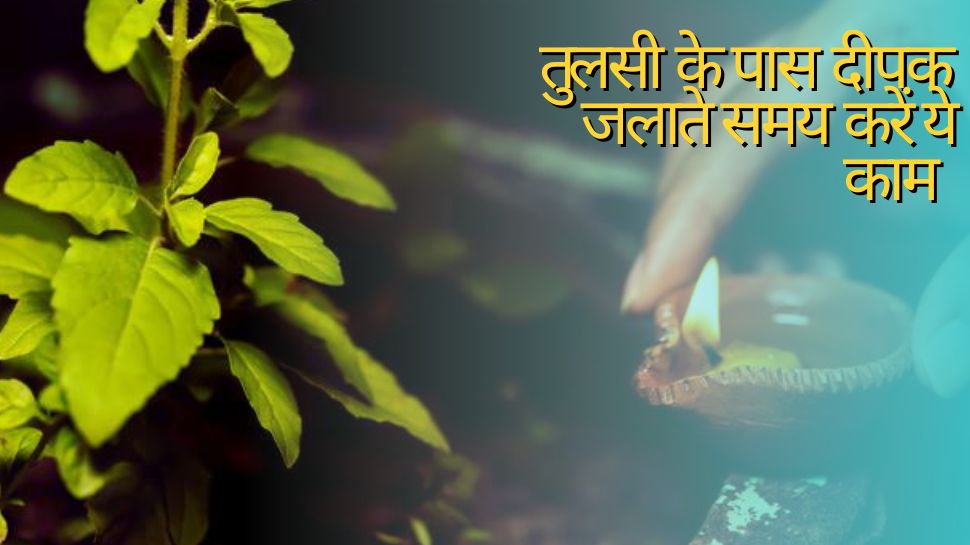 Tulsi Upay: तुलसी में दिया जलाते समय करें ये उपाय, मां लक्ष्मी की बनी रहेगी कृपा