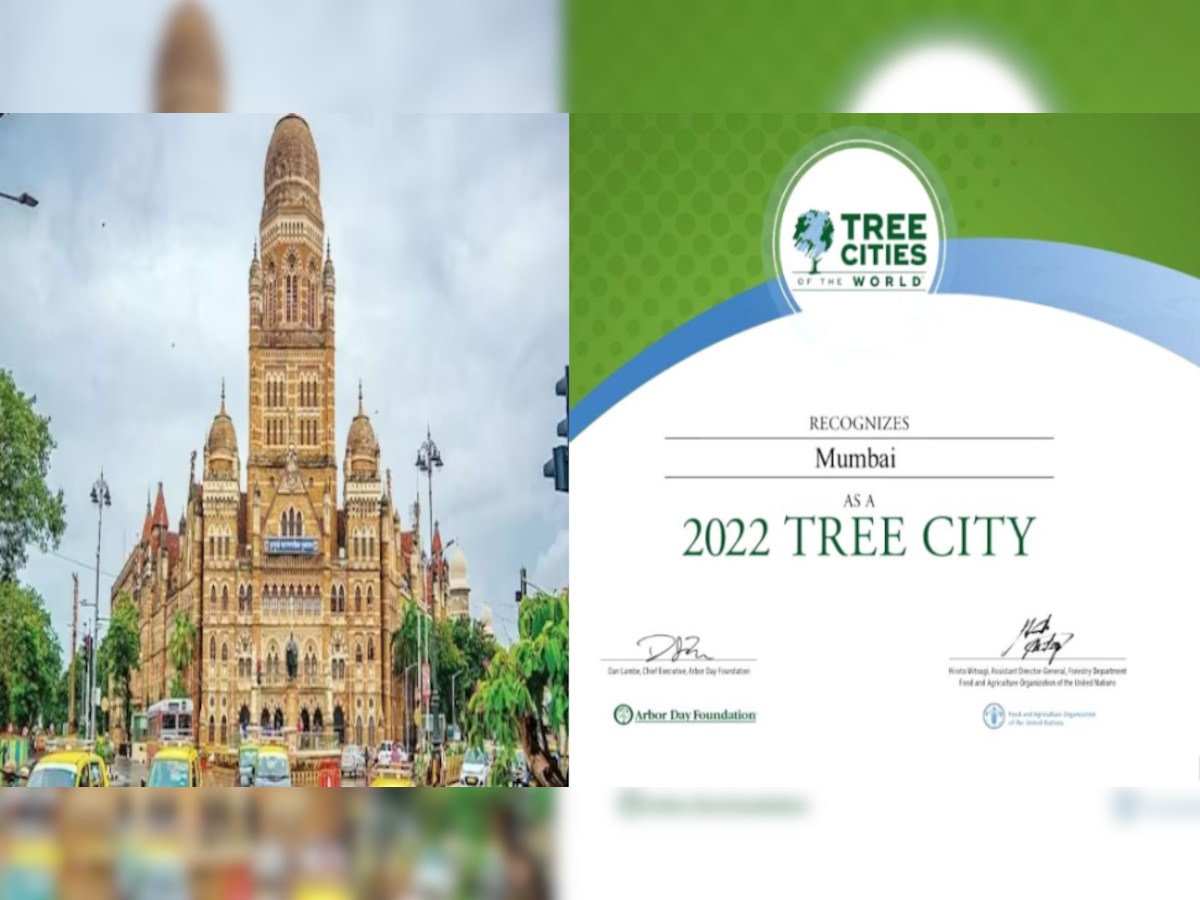 World Tree City 2022 List: मुंबई लगातार दूसरी बार वर्ल्ड ट्री सिटी 2022 की लिस्ट में शामिल