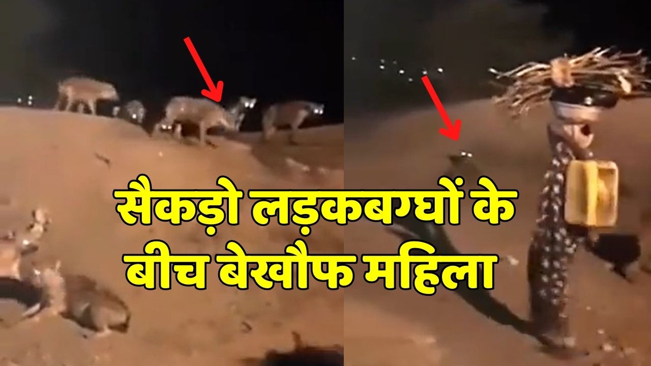 Viral Video woman is not afraid fearlessly roaring among hundreds of