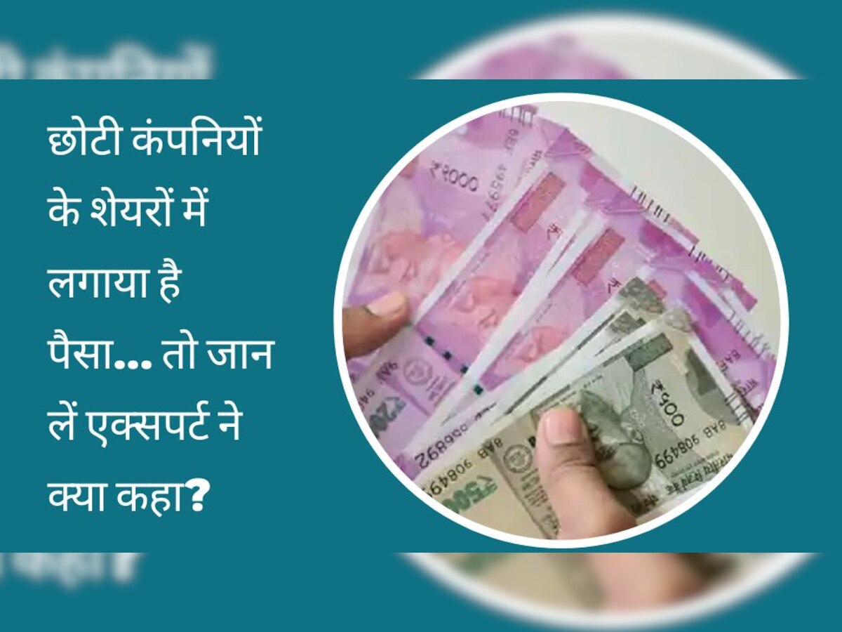 FY-2022-23: स्मॉलकैप शेयरों में लगा है आपका पैसा तो इस साल हुआ भारी नुकसान, एक्सपर्ट ने किया खुलासा