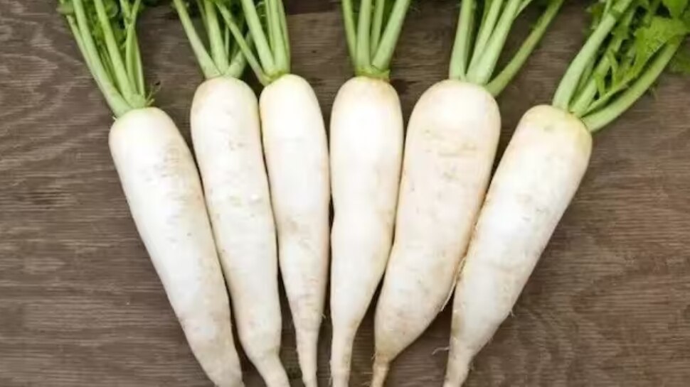 Radish Benefits benefit of eating muli for health know radish ke fayede