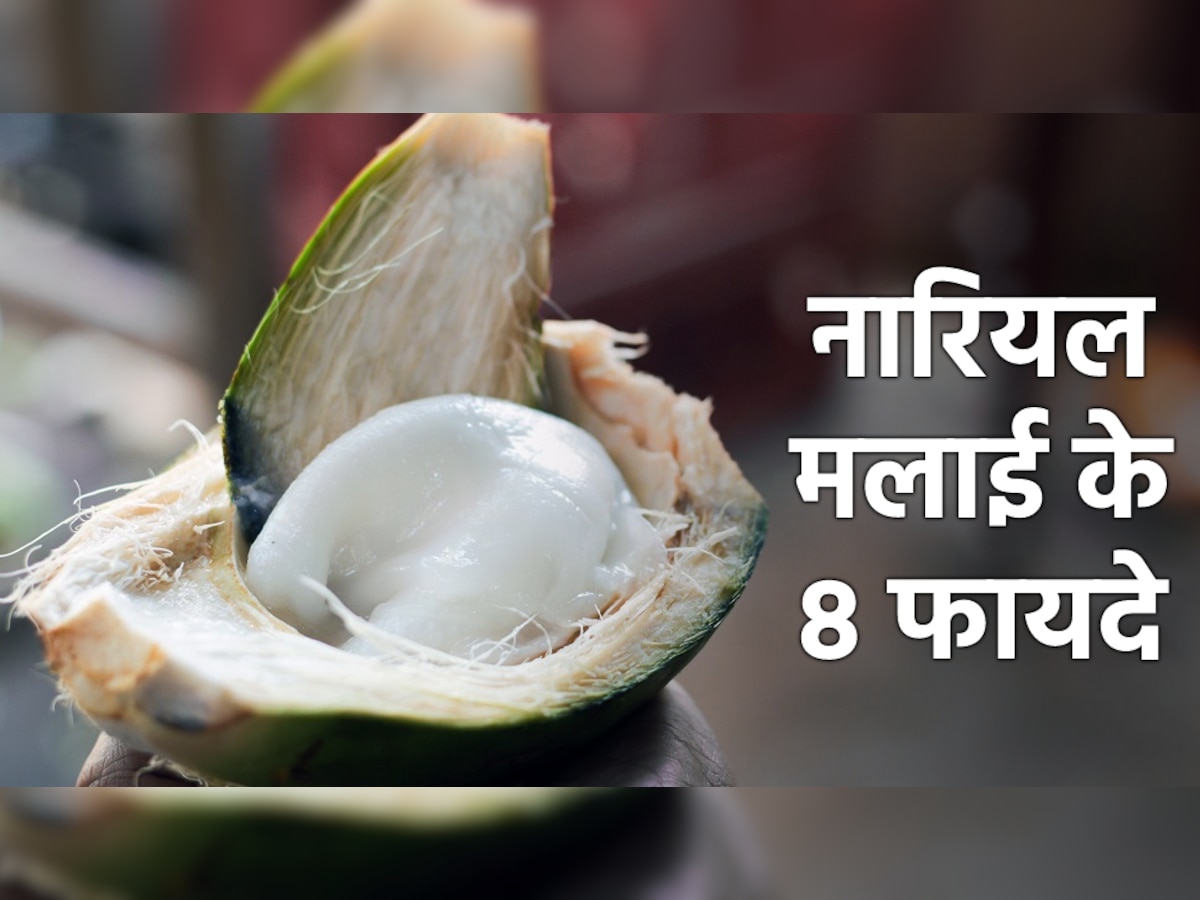 Coconut Malai Benefits: वजन घटाने से लेकर दिल की सेहत तक, नारियल की मलाई के आश्चर्यजनक फायदों के बारे में जान लें आप