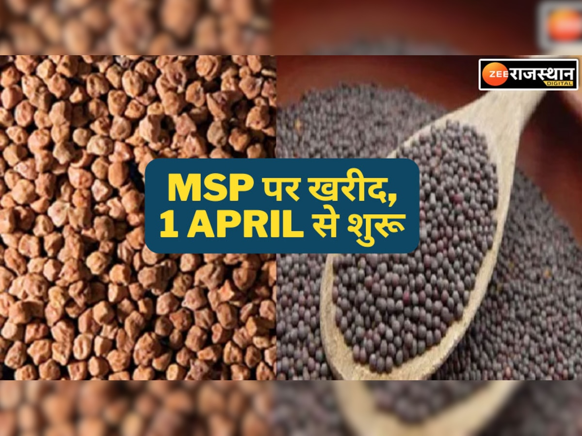 Rajasthan news : किसानों के लिए खुशखबरी, आज से सरसो और चने की MSP पर खरीद शुरू 