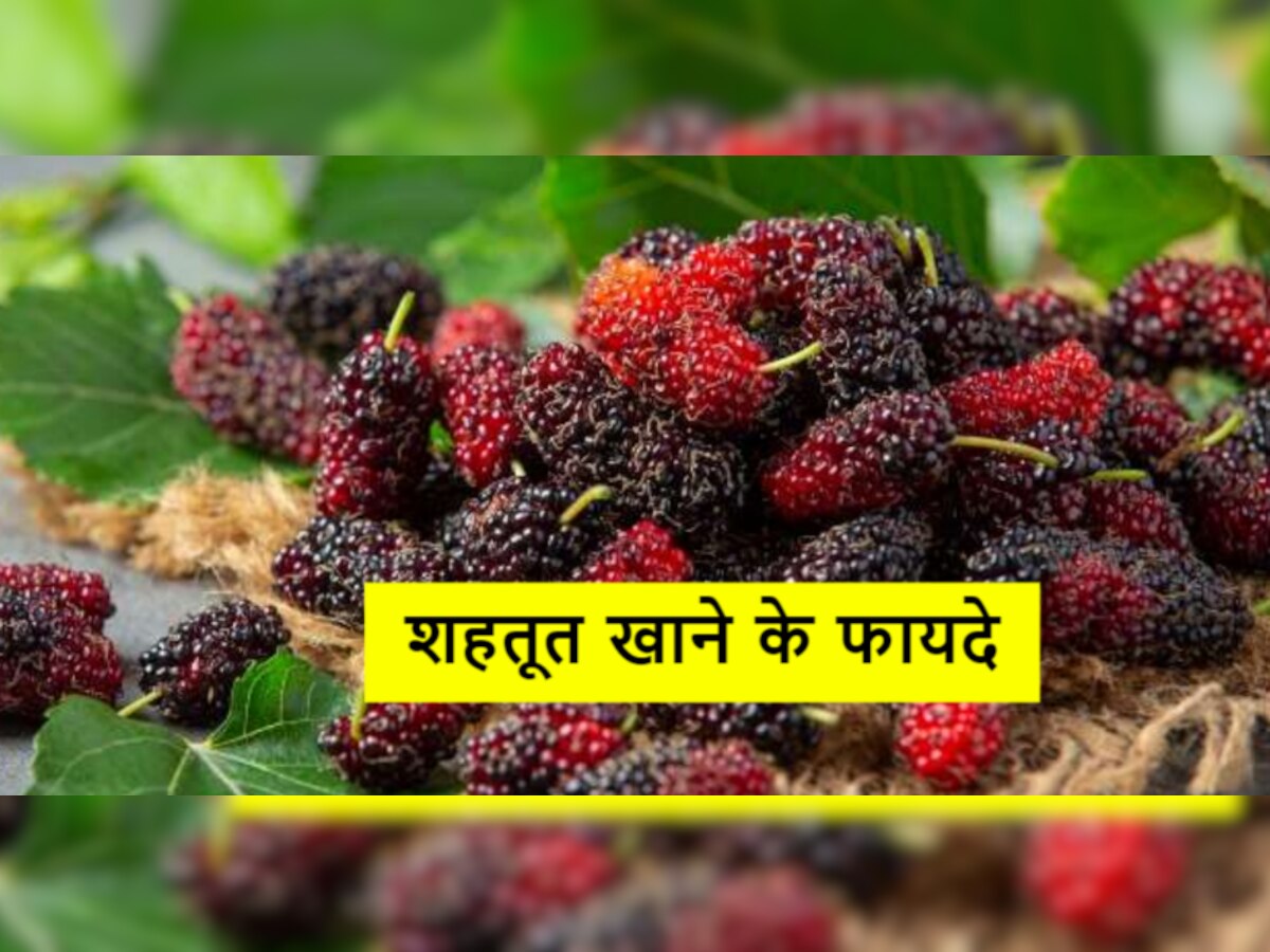 Antioxidant Fruit: औषधीय गुणों से भरपूर है शहतूत, जानिए इसे खाने के बड़े-बड़े फायदे