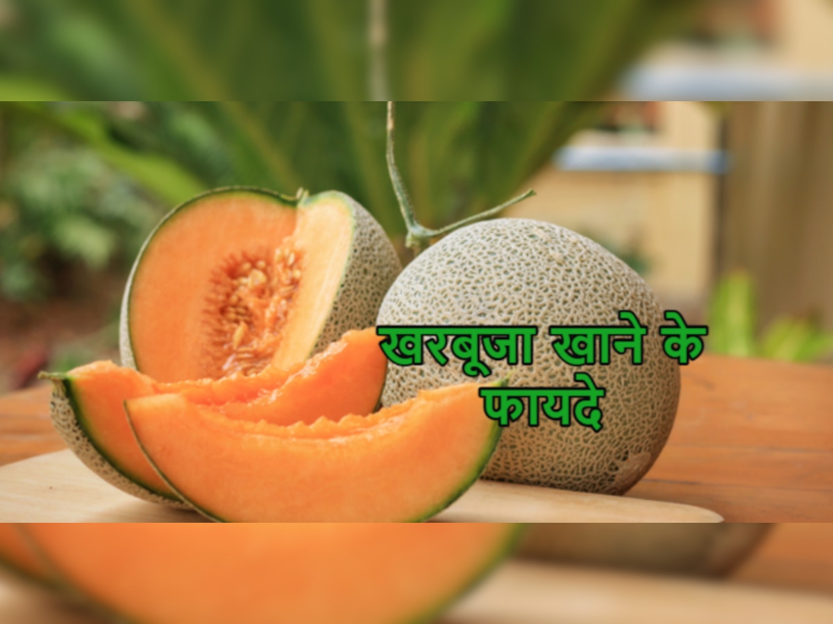 Muskmelon: खरबूजा खाकर तेजी से बढ़ेगी इम्युनिटी, दिल की सेहत भी होगी अच्छी, जानें इसके अन्य फायदे