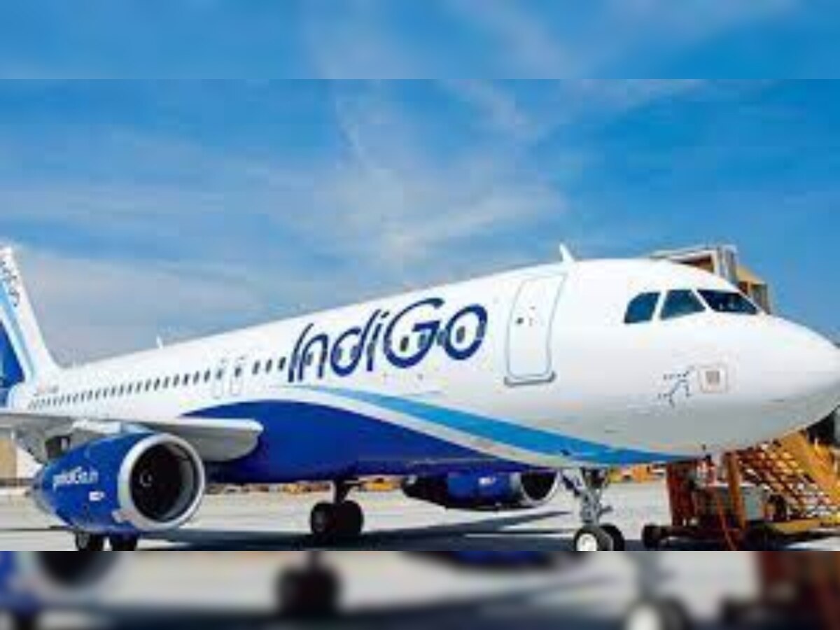 Indigo एयर होस्टेस से छेड़खानी करने पर नशेबाज बुजुर्ग को मिली ऐसी सजा, सभी यात्री हो गए हैरान