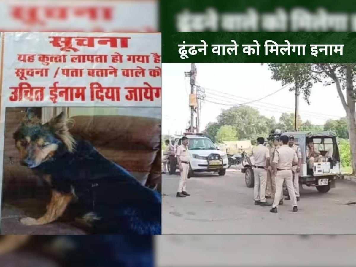 IAS का कुत्ता गायब हुआ, इनाम के लिए पोस्टर लगाए गए..पुलिस-प्रशासन की टीम खोज में जुटी