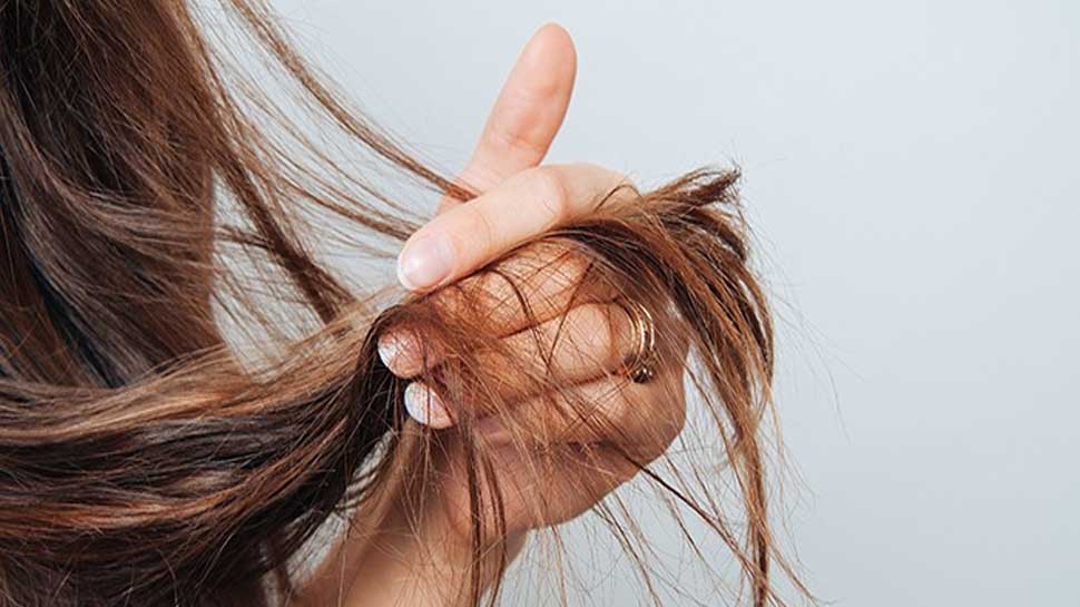 Homemade Hair Mask: हर तरह के बालों पर असरदार है ये मास्क; बाल बन जाएंगे मजबूत और शाइनी Homemade Hair Mask: हर तरह के बालों पर असरदार है ये मास्क; बाल बन जाएंगे मजबूत और शाइनी
