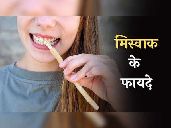 रमजान में करें मिस्वाक का इस्तेमाल, दिमाग तेज होने के साथ नहीं होंगी ये बीमारियां