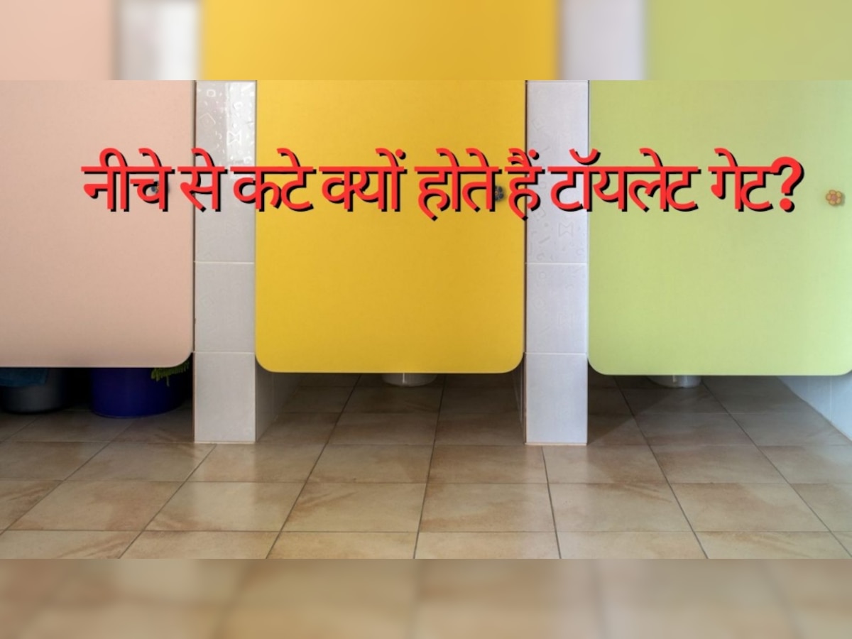 Toilet Gate Fact: टॉयलेट का गेट मॉल में नीचे से क्यों रहता है खुला? वजह आपको हैरान कर देगी