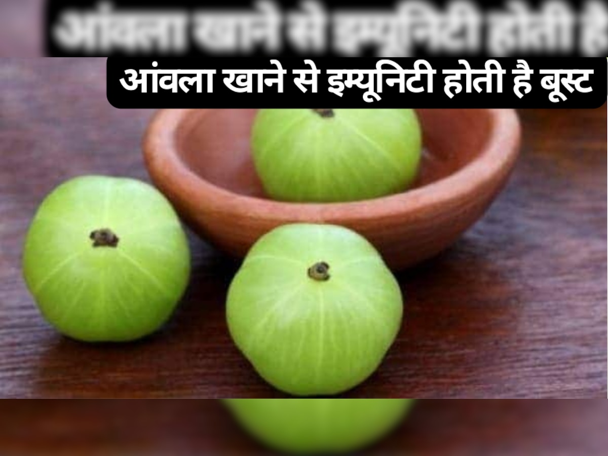 Gooseberry: आंवला खाने से इम्यूनिटी होती है बूस्ट, इन परेशानियों में मिलता है आराम