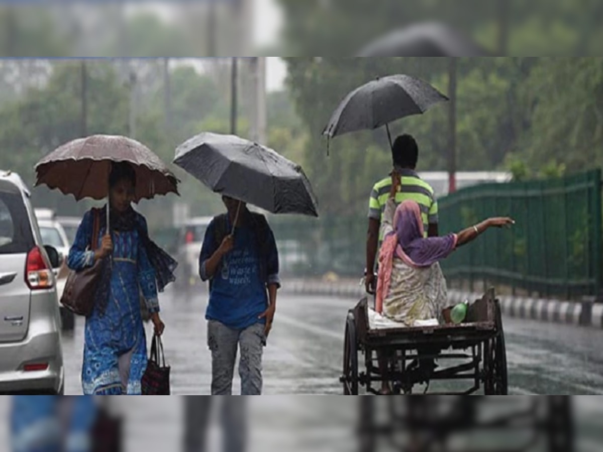 Rain Alert:एमपी छत्तीसगढ़ में मौसम विभाग की चेतावनी,  इन जिलों में बारिश का अलर्ट