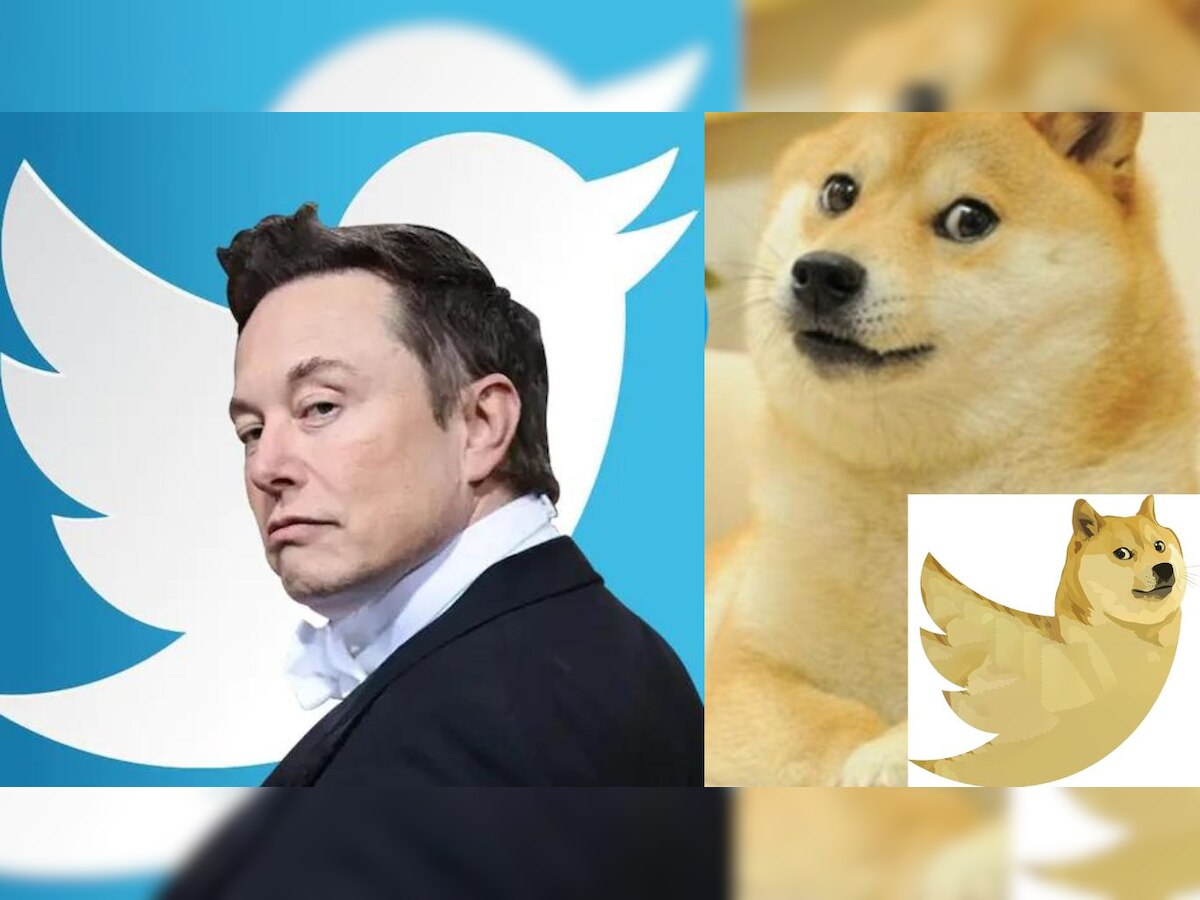 Twitter से उड़ गई नीली चिड़िया! Elon Musk ने कुत्ता को बनाया नया लोगो