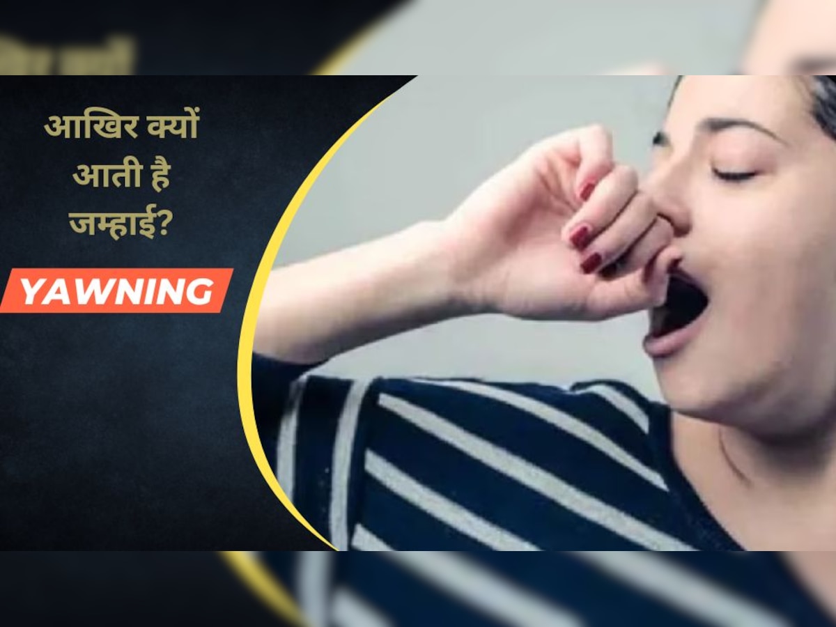 Yawning: किसी को देखकर क्यों आती है जम्हाई, इसका पता चल गया है..आप भी जान लीजिए