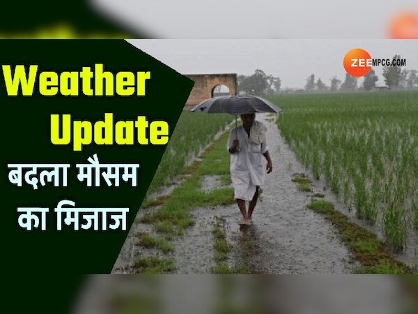 MP Weather Forecast: मध्य प्रदेश के कई जिलों में होगी बारिश, छत्तीसगढ़ में यहां बिगड़ेगा मौसम; जानें पूर्वानुमान