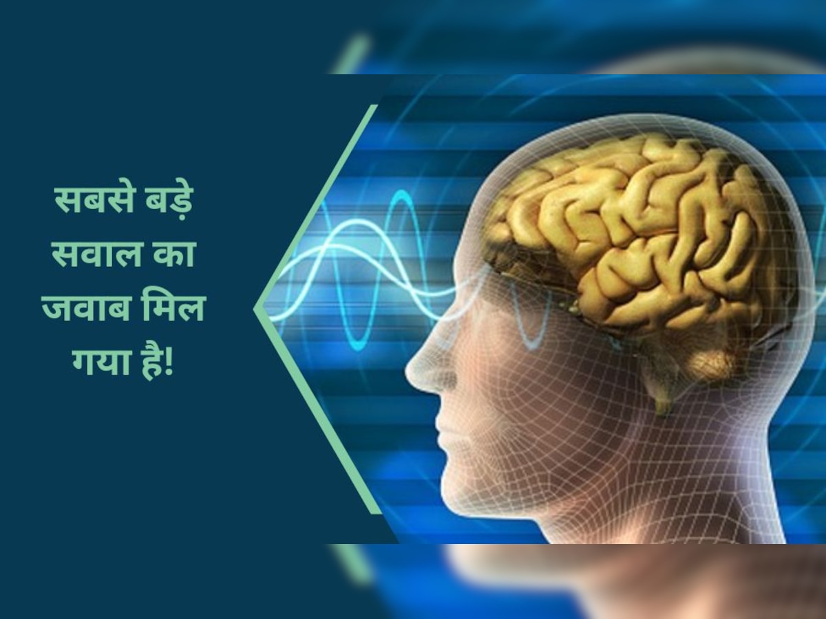 Brain: महिलाओं का दिमाग तेज होता है या पुरुषों का? रिसर्च में हो गया बड़ा खुलासा..आप भी जान लीजिए