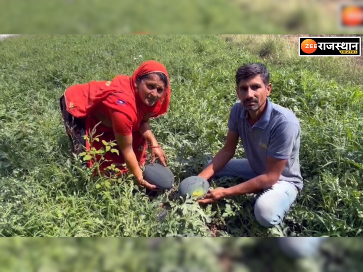 सब्जियों की खेती ने बदली डूंगरपुर के किसान परिवार की किस्मत, सालाना हो रही 9 लाख की कमाई