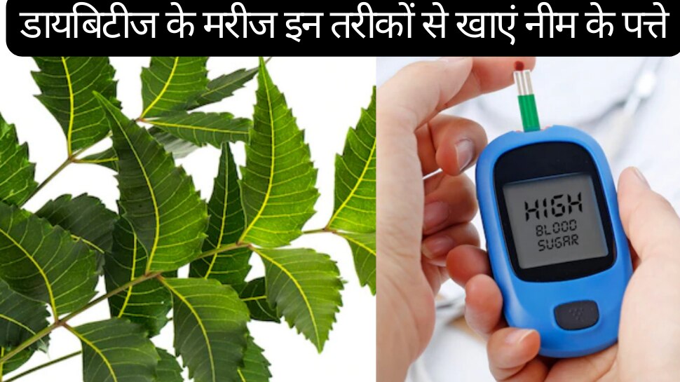 health tips diabetic patients should eat neem leaves in these ways